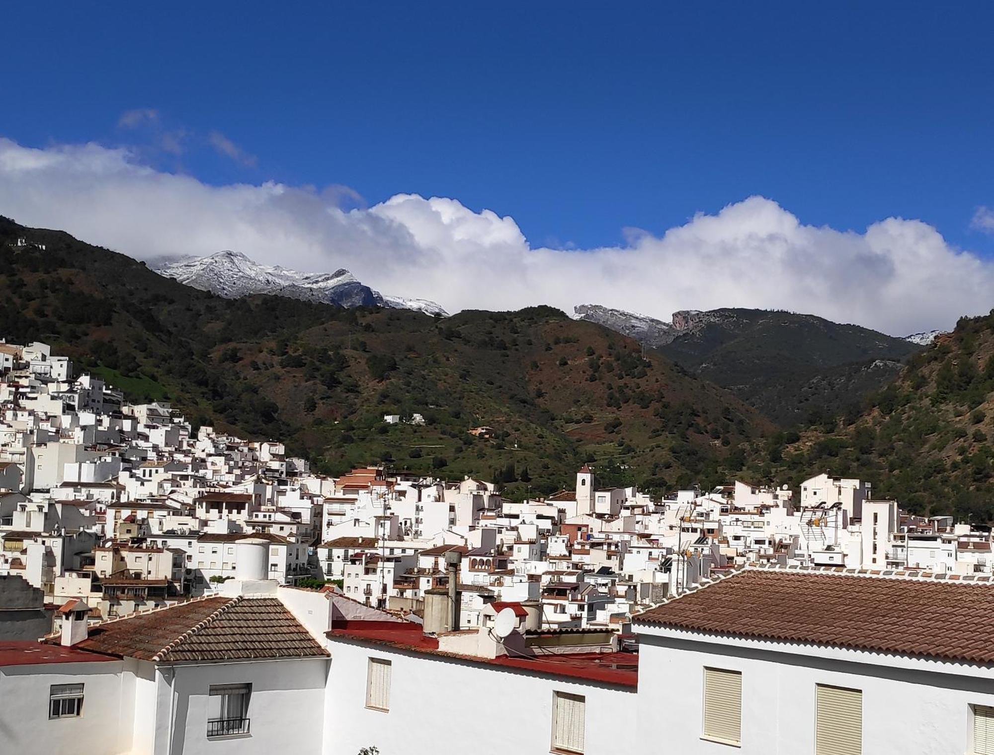 Apartamento El Almencino Tolox Extérieur photo